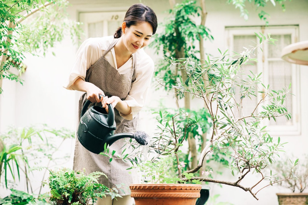 植物レンジャー<br />～ガーデニング・DIYにワンポイントの輝きを～