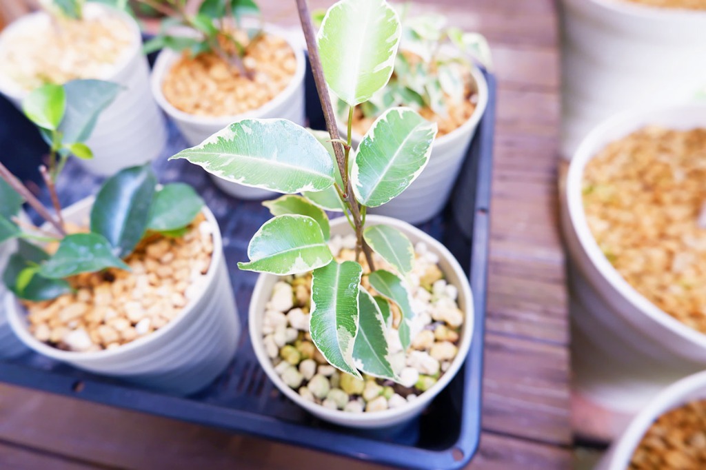 快適なお庭で快適な生活を